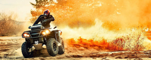 quad Polaris